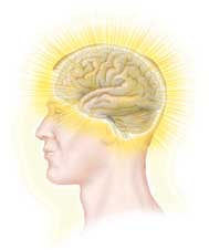 superbrain
yoga